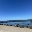 니가나나스테이 이미지