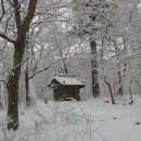 성황림마을 이미지