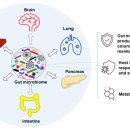 밝은약국 이미지