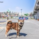 서울볼트
