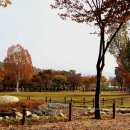 대구수목원 이미지