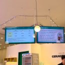 (주)세라젬웰파크 청량리점 네이버블로그
