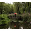 모네의 정원 이미지