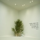 고운동물병원 이미지