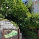 죽전 중앙공원사거리(공원) 이미지