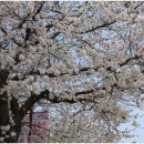 휴가1 | 영암 반값여행 1+1, 지역사랑휴가지원 여행 솔직후기 / 신청과 정산