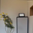 리스테이 연월 이미지