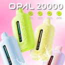 시가패션 | 도조 오팔 20000 베이포레소 일회용 전자담배 맛 종류와 사용법 후기