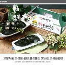 내고향식품 네이버블로그