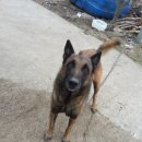 이삭목장 이미지