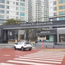신안초등학교정문 앞 이미지