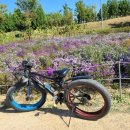 계양경기장 이미지