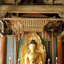 영주 부석사의 황홀한 은행나무길. 이미지