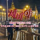 노아투어 - 중구 퇴계로71길 36 | [세비야 야경투어 추천] 스페인 신혼여행｜노아와 여행 솔직 후기