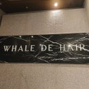 컷트의집 | 목동미용실 '웨일 드 헤어' 컷트 후기 _ 디자이너 제이 레이어드컷 테슬컷