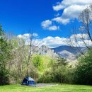 2026년 봄 명이나물 캠핑 (Seneca Shadows Campground), WV 이미지