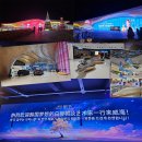 꿈꾸는 자작나무 이미지