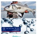 (주) 엔슈어 이미지