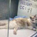 메이 동물병원 이미지