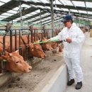 수 가축병원 이미지