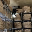 제상 농장 이미지