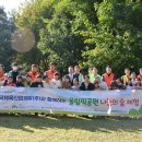 산림산업개발