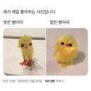개구리반찬 네이버블로그