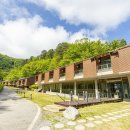 서울시립대학교강촌청소년수련원