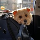 아이봄 동물병원 이미지