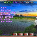 하얀나라 - 진도군 남문길 25 | 하얀나라