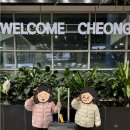 케이렌트카(주) | 아기랑 오키나와 가족여행 1일차 (어린이나라, 이온몰라이카무, 에어로케이)