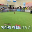 펫마인드