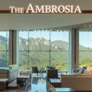 소노펠리체 델피노 이미지