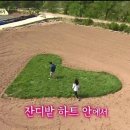 끼노래연습장 이미지