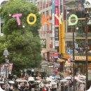 교차로빌딩 | 일본 도쿄 시부야 스타벅스 카페 스크램블 교차로 뷰 이색 여행 코스 추천