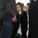인디에프세아갤러리 이미지