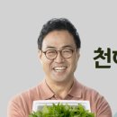 미용천하