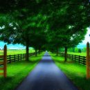 하루와노을 이미지