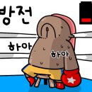 다이나복싱체육관 이미지