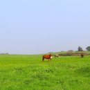 선양목장 이미지