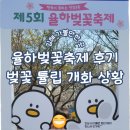 율하천 (어린이교통공원 AP2) | 경남 김해 아이와 가볼 만한 곳 2024년 제5회 율하벚꽃축제 및 벚꽃 튤립 개화 상황 주차정보 포함