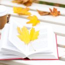 제 2회 아시아문학페스티벌 이미지