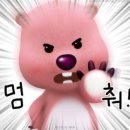 UFC 국제체육관 복싱,무에타이,주짓수,킥복싱,MMA 이미지
