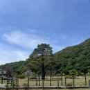 보은약수터 | 부처님오신날 속리산 법주사 방문!