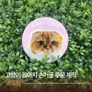 강아지세상 고양이세상 | 댕프링ㅣ강아지 고양이 손거울 주문제작 만들기 후기