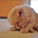 무념무상 이미지