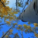 모텔메사 이미지