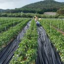 정철농장 이미지