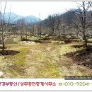 상주부동산