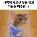 아이니쥬